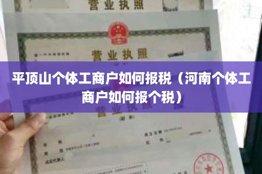 平顶山个体工商户如何报税（河南个体工商户如何报个税）