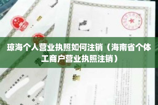 琼海个人营业执照如何注销（海南省个体工商户营业执照注销）