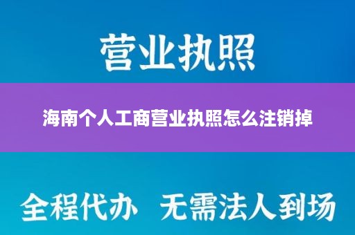 海南个人工商营业执照怎么注销掉