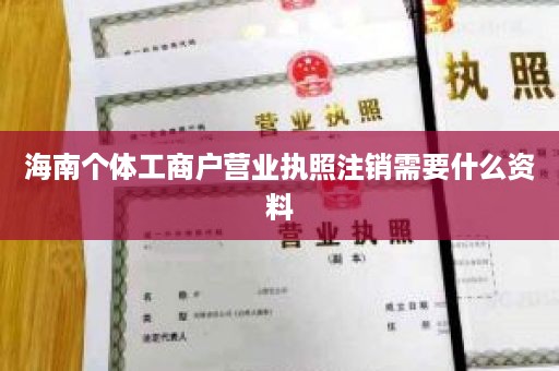 海南个体工商户营业执照注销需要什么资料