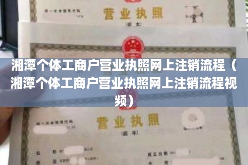 湘潭个体工商户营业执照网上注销流程（湘潭个体工商户营业执照网上注销流程视频）