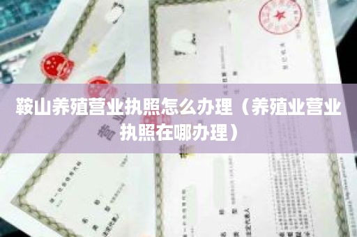 鞍山养殖营业执照怎么办理（养殖业营业执照在哪办理）