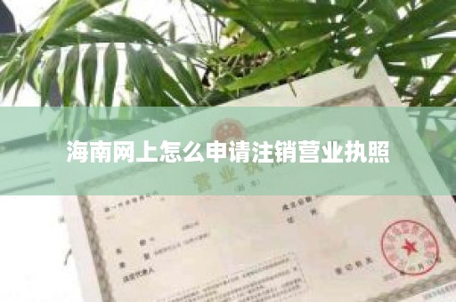 海南网上怎么申请注销营业执照