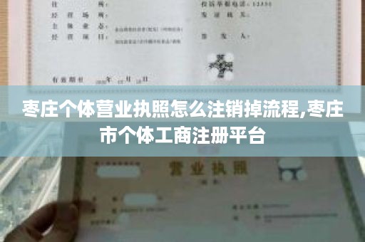 枣庄个体营业执照怎么注销掉流程,枣庄市个体工商注册平台