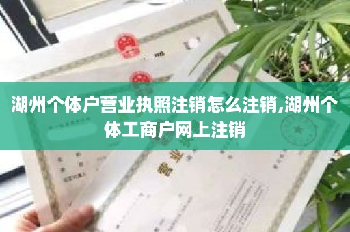 湖州个体户营业执照注销怎么注销,湖州个体工商户网上注销