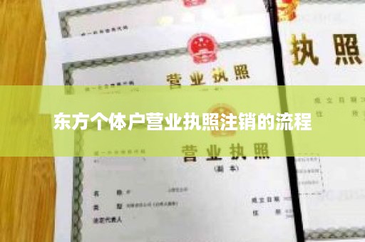 东方个体户营业执照注销的流程