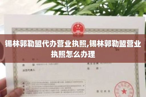 锡林郭勒盟代办营业执照,锡林郭勒盟营业执照怎么办理