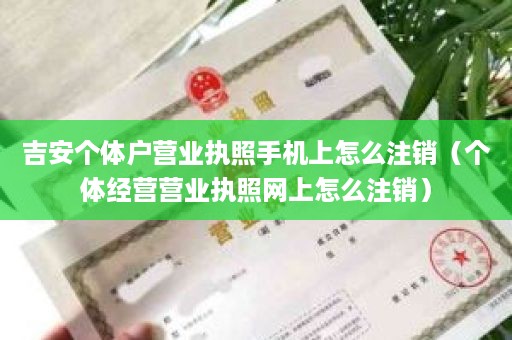 吉安个体户营业执照手机上怎么注销（个体经营营业执照网上怎么注销）