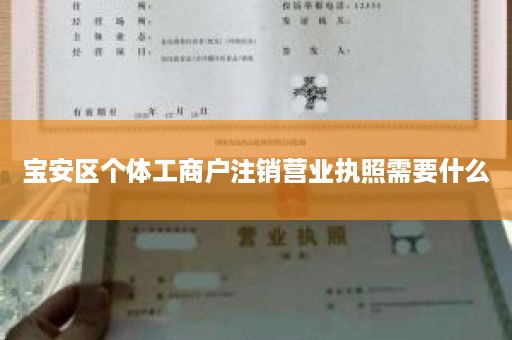 宝安区个体工商户注销营业执照需要什么