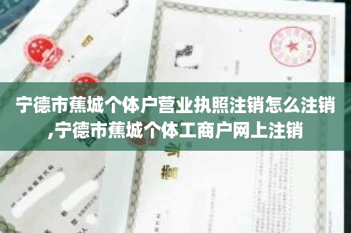 宁德市蕉城个体户营业执照注销怎么注销,宁德市蕉城个体工商户网上注销