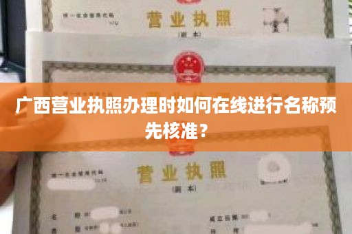 广西营业执照办理时如何在线进行名称预先核准？