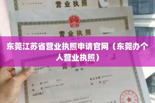 东莞江苏省营业执照申请官网（东莞办个人营业执照）