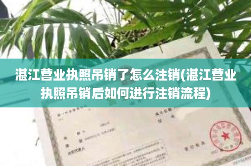 湛江营业执照吊销了怎么注销(湛江营业执照吊销后如何进行注销流程)