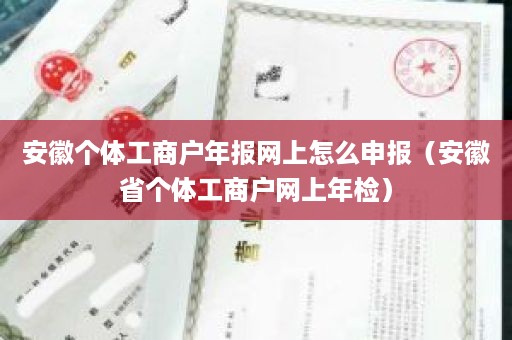 安徽个体工商户年报网上怎么申报（安徽省个体工商户网上年检）