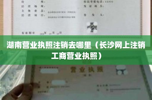 湖南营业执照注销去哪里（长沙网上注销工商营业执照）