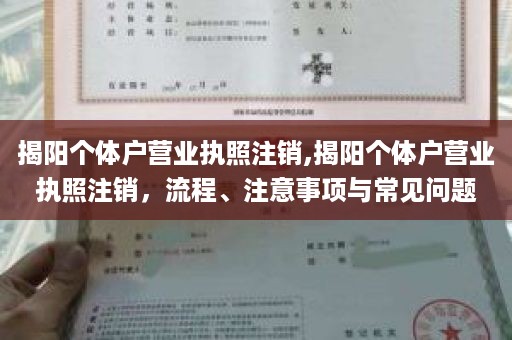 揭阳个体户营业执照注销,揭阳个体户营业执照注销，流程、注意事项与常见问题