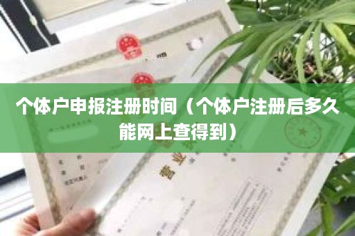 个体户申报注册时间（个体户注册后多久能网上查得到）