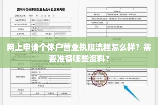 网上申请个体户营业执照流程怎么样？需要准备哪些资料？