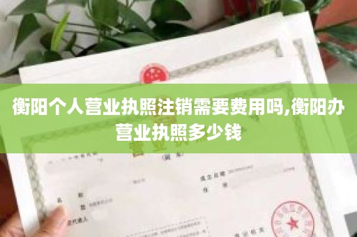 衡阳个人营业执照注销需要费用吗,衡阳办营业执照多少钱