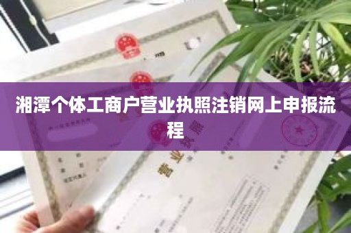 湘潭个体工商户营业执照注销网上申报流程