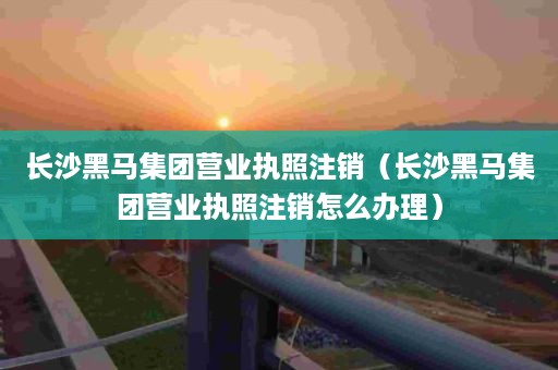 长沙黑马集团营业执照注销（长沙黑马集团营业执照注销怎么办理）