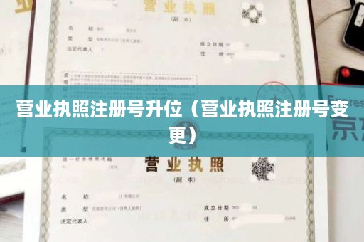 营业执照注册号升位（营业执照注册号变更）