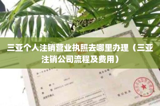 三亚个人注销营业执照去哪里办理（三亚注销公司流程及费用）