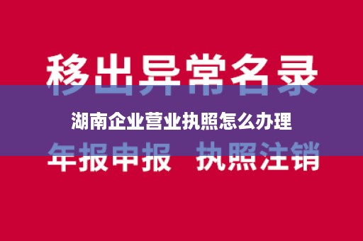 湖南企业营业执照怎么办理