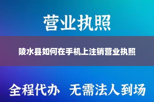 陵水县如何在手机上注销营业执照