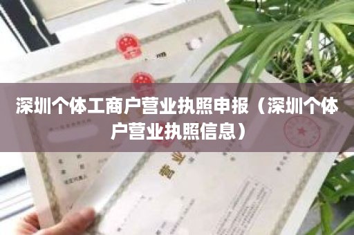 深圳个体工商户营业执照申报（深圳个体户营业执照信息）