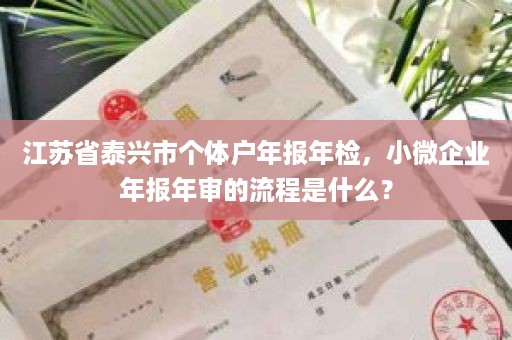 江苏省泰兴市个体户年报年检，小微企业年报年审的流程是什么？