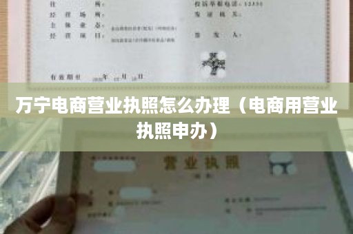 万宁电商营业执照怎么办理（电商用营业执照申办）