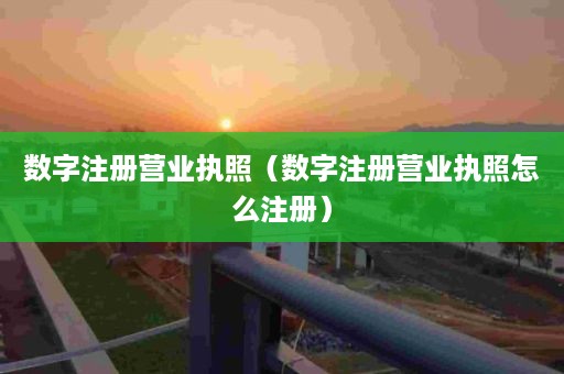 数字注册营业执照（数字注册营业执照怎么注册）