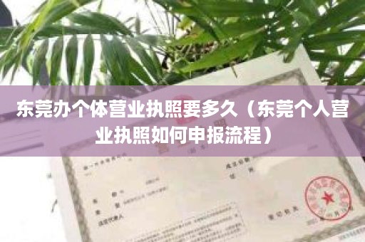 东莞办个体营业执照要多久（东莞个人营业执照如何申报流程）