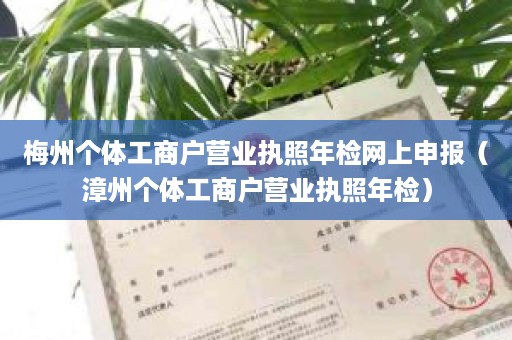 梅州个体工商户营业执照年检网上申报（漳州个体工商户营业执照年检）