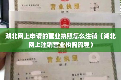 湖北网上申请的营业执照怎么注销（湖北网上注销营业执照流程）