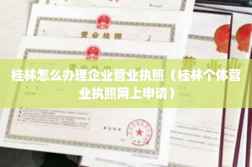 桂林怎么办理企业营业执照（桂林个体营业执照网上申请）