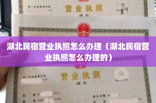 湖北民宿营业执照怎么办理（湖北民宿营业执照怎么办理的）