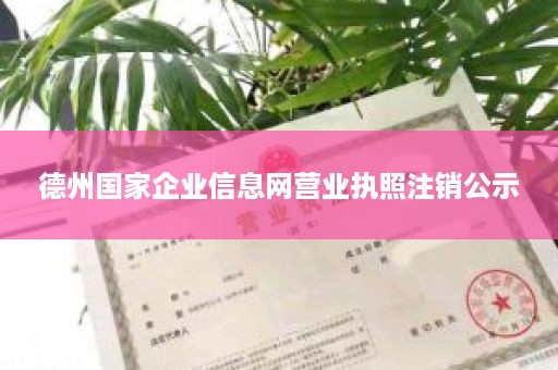 德州国家企业信息网营业执照注销公示