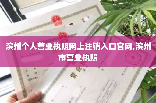 滨州个人营业执照网上注销入口官网,滨州市营业执照