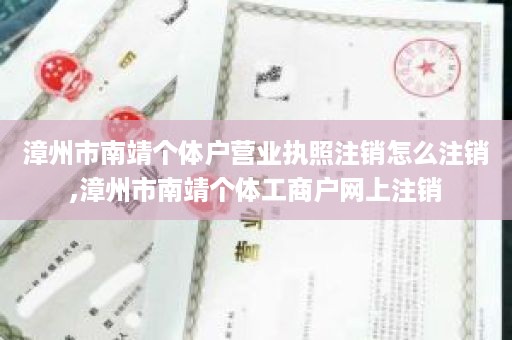 漳州市南靖个体户营业执照注销怎么注销,漳州市南靖个体工商户网上注销