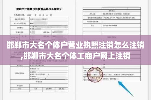 邯郸市大名个体户营业执照注销怎么注销,邯郸市大名个体工商户网上注销