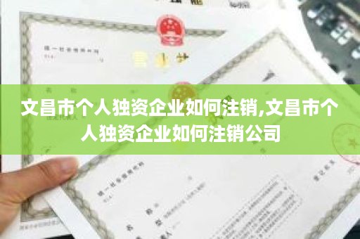 文昌市个人独资企业如何注销,文昌市个人独资企业如何注销公司