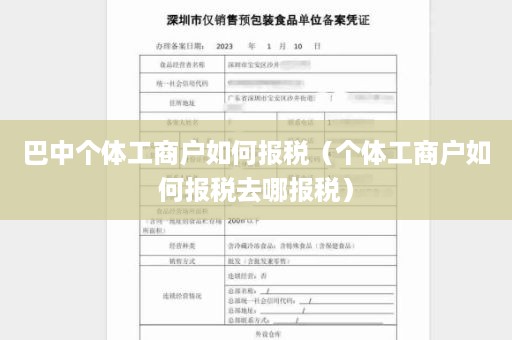 巴中个体工商户如何报税（个体工商户如何报税去哪报税）