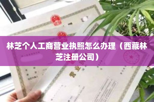 林芝个人工商营业执照怎么办理（西藏林芝注册公司）