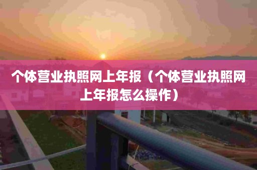 个体营业执照网上年报（个体营业执照网上年报怎么操作）