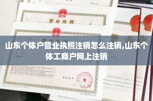 山东个体户营业执照注销怎么注销,山东个体工商户网上注销