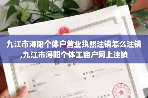 九江市浔阳个体户营业执照注销怎么注销,九江市浔阳个体工商户网上注销