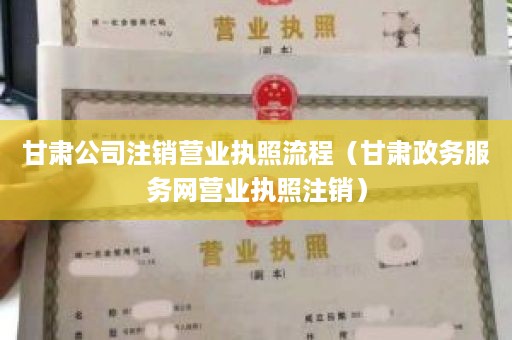 甘肃公司注销营业执照流程（甘肃政务服务网营业执照注销）