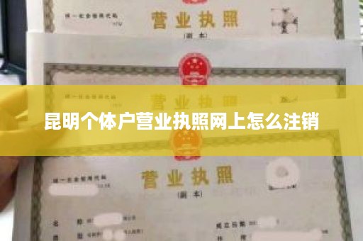 昆明个体户营业执照网上怎么注销